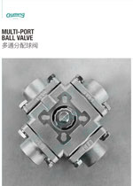 Multi-port